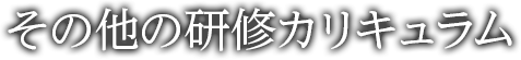 その他の研修カリキュラム